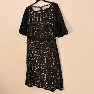SHANI Black Laser Cut Lace Midi Dress Nude Lining Size 6 NWT